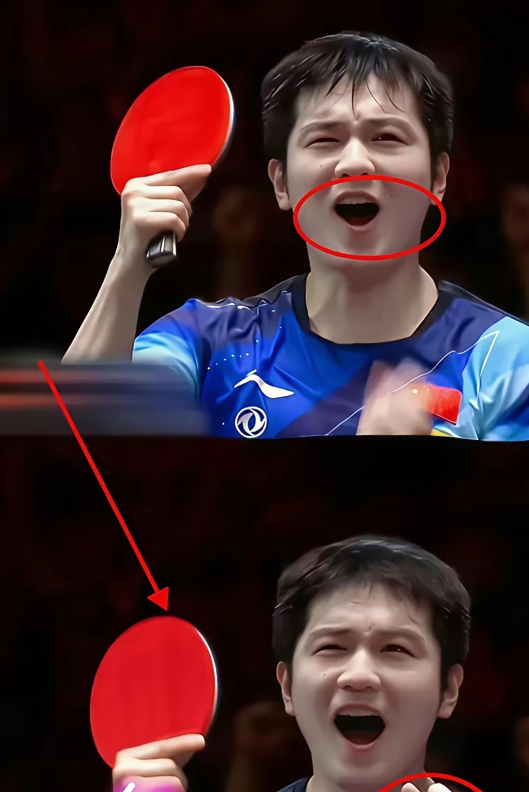 日本队碾压韩国队，樊振东高光表现