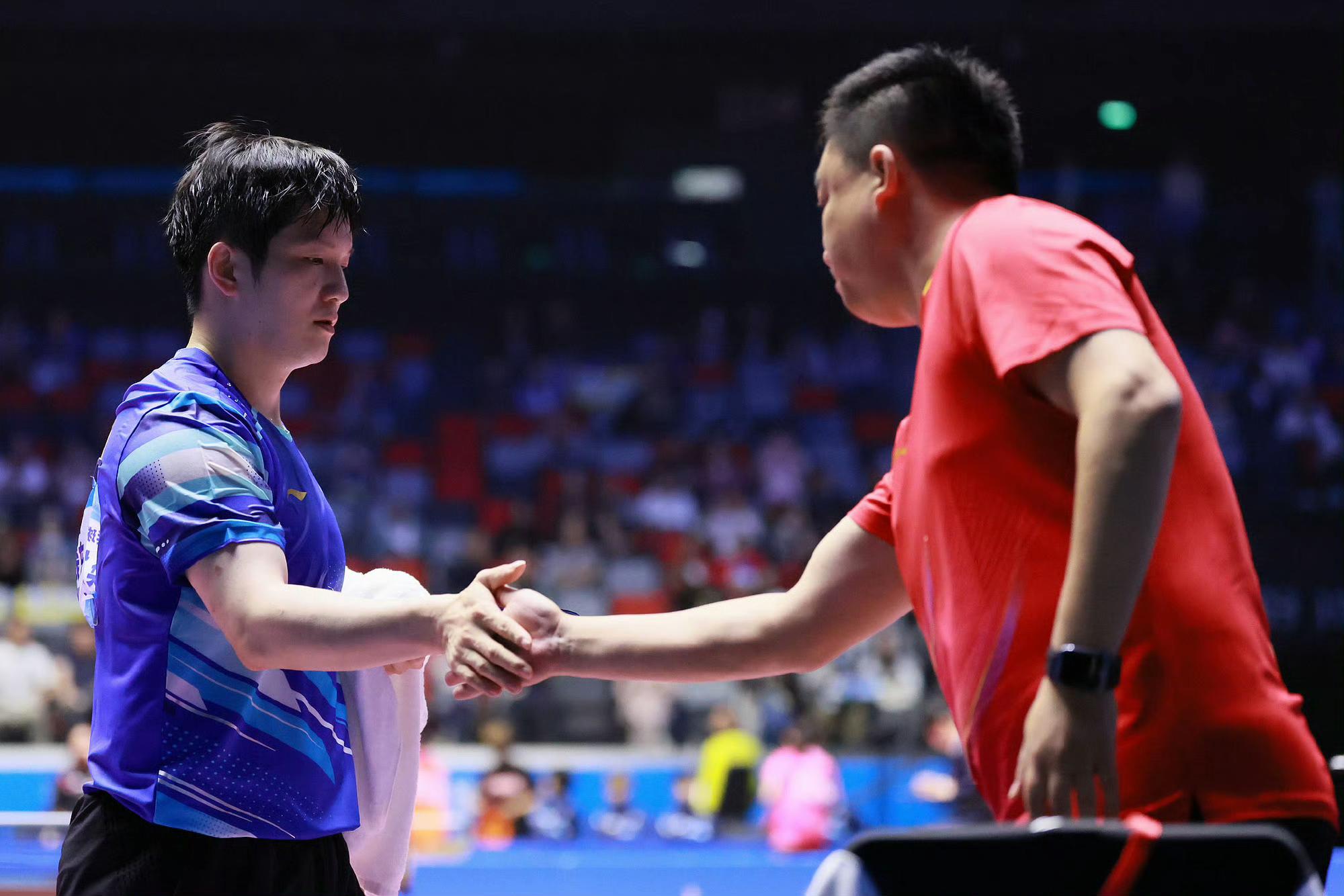 日本队碾压韩国队，樊振东高光表现