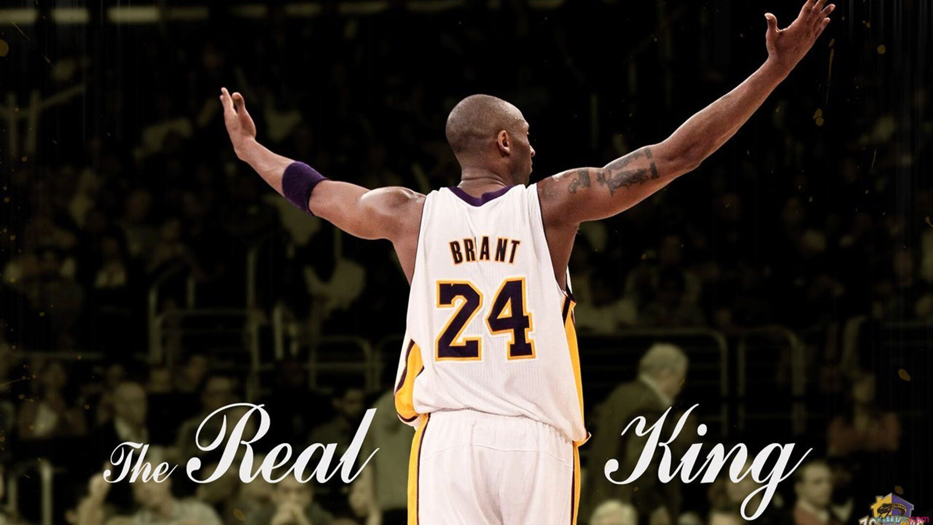 字母哥封神之夜 国王团队弑日夺胜