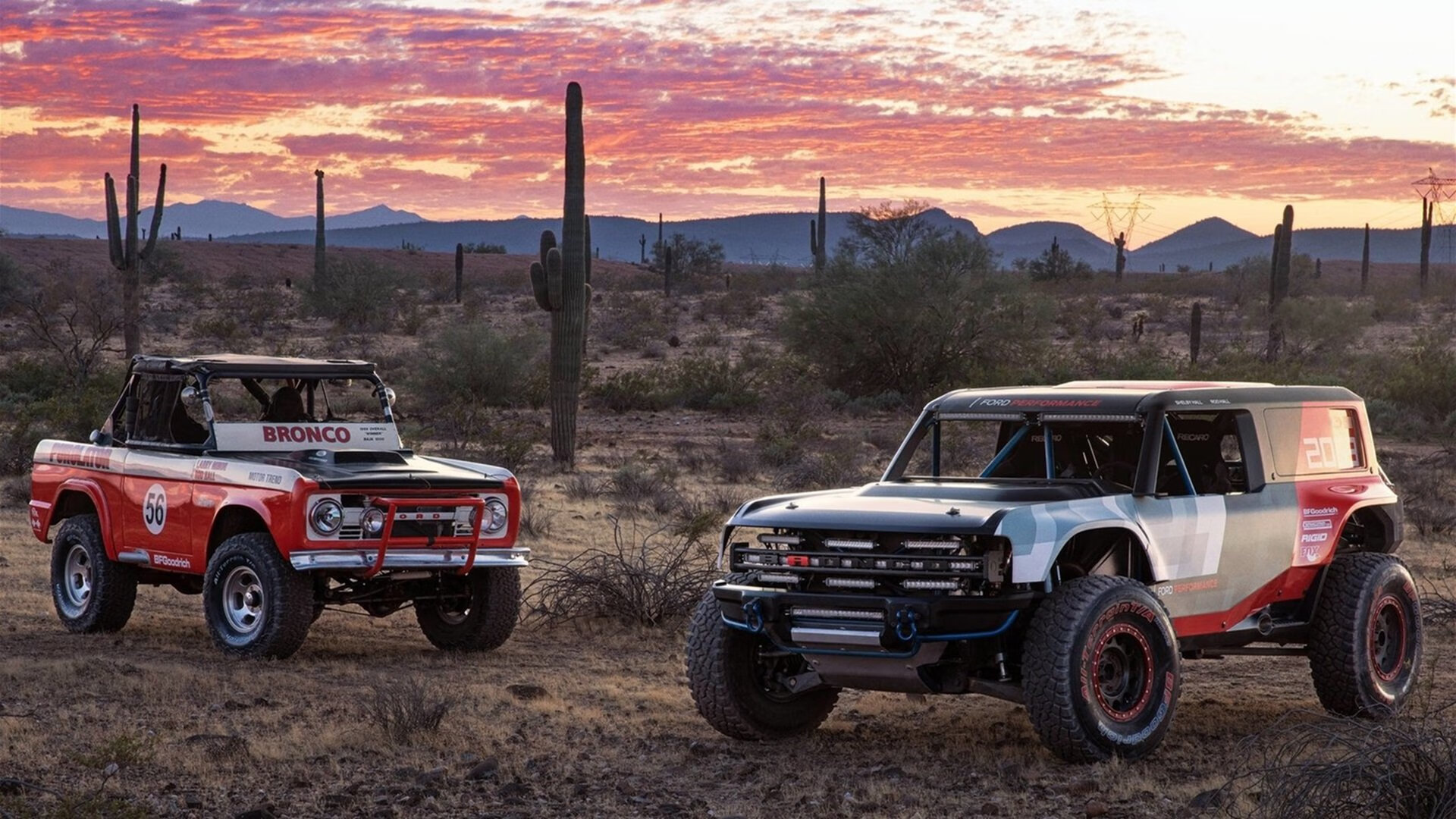 四年两幕，当郁金香在沙漠绽放，格子衫于雪原燃烧