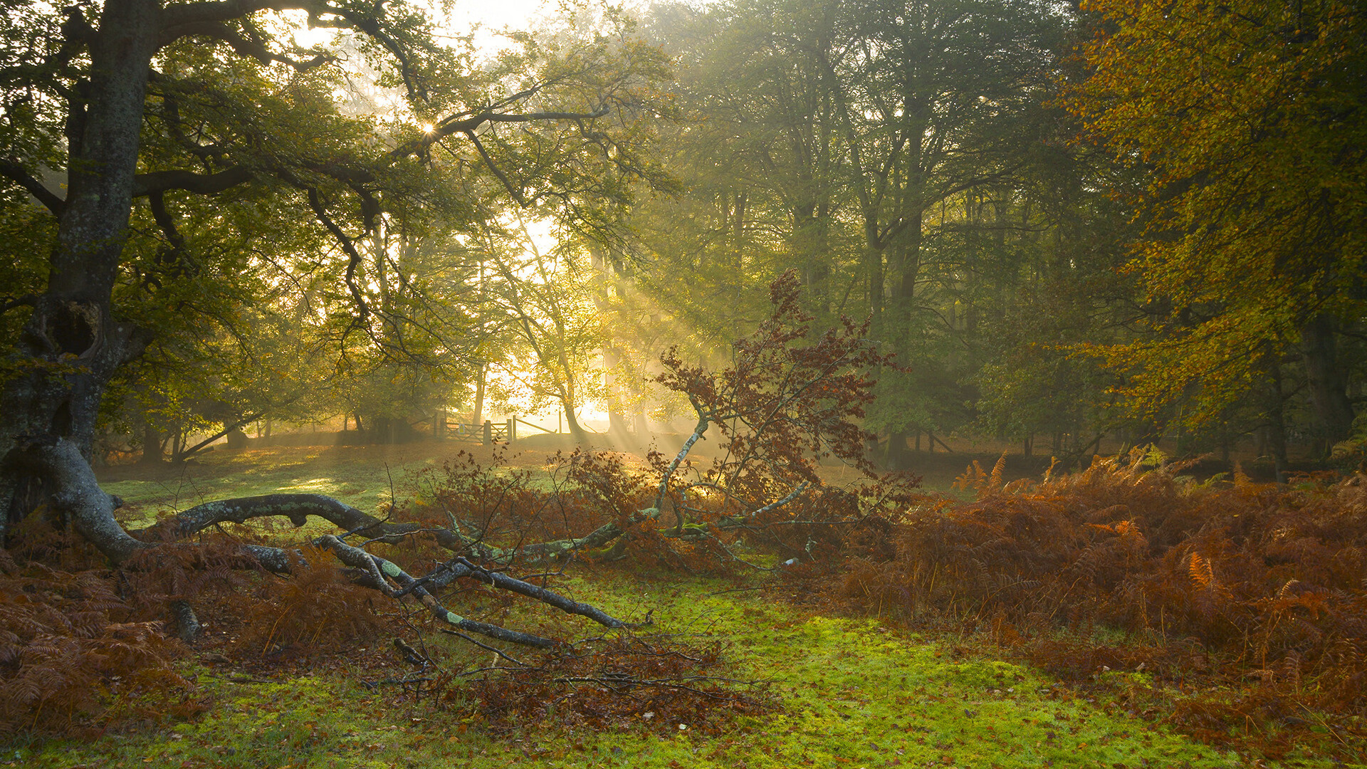从被质疑到中场引擎，京多安在德甲争冠夜完成自我证明