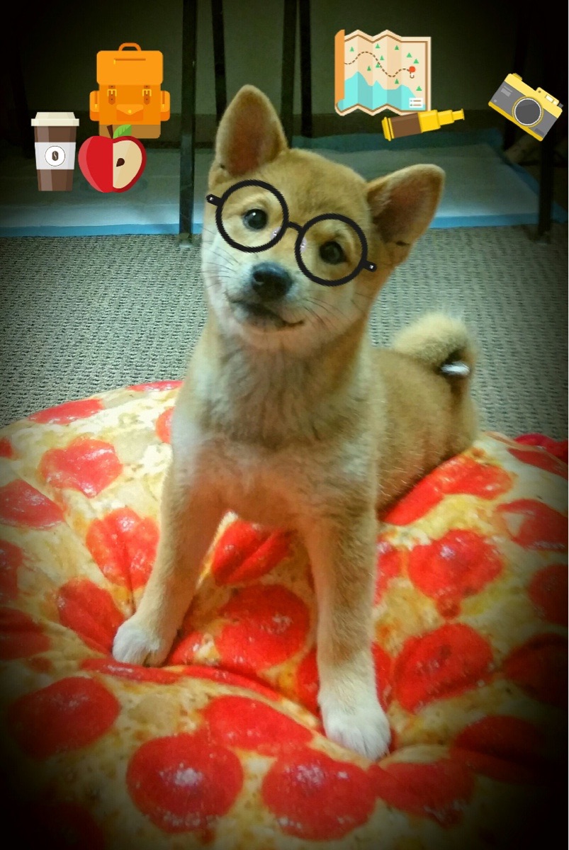 鹰击长空时，王座上的人捏住了时间