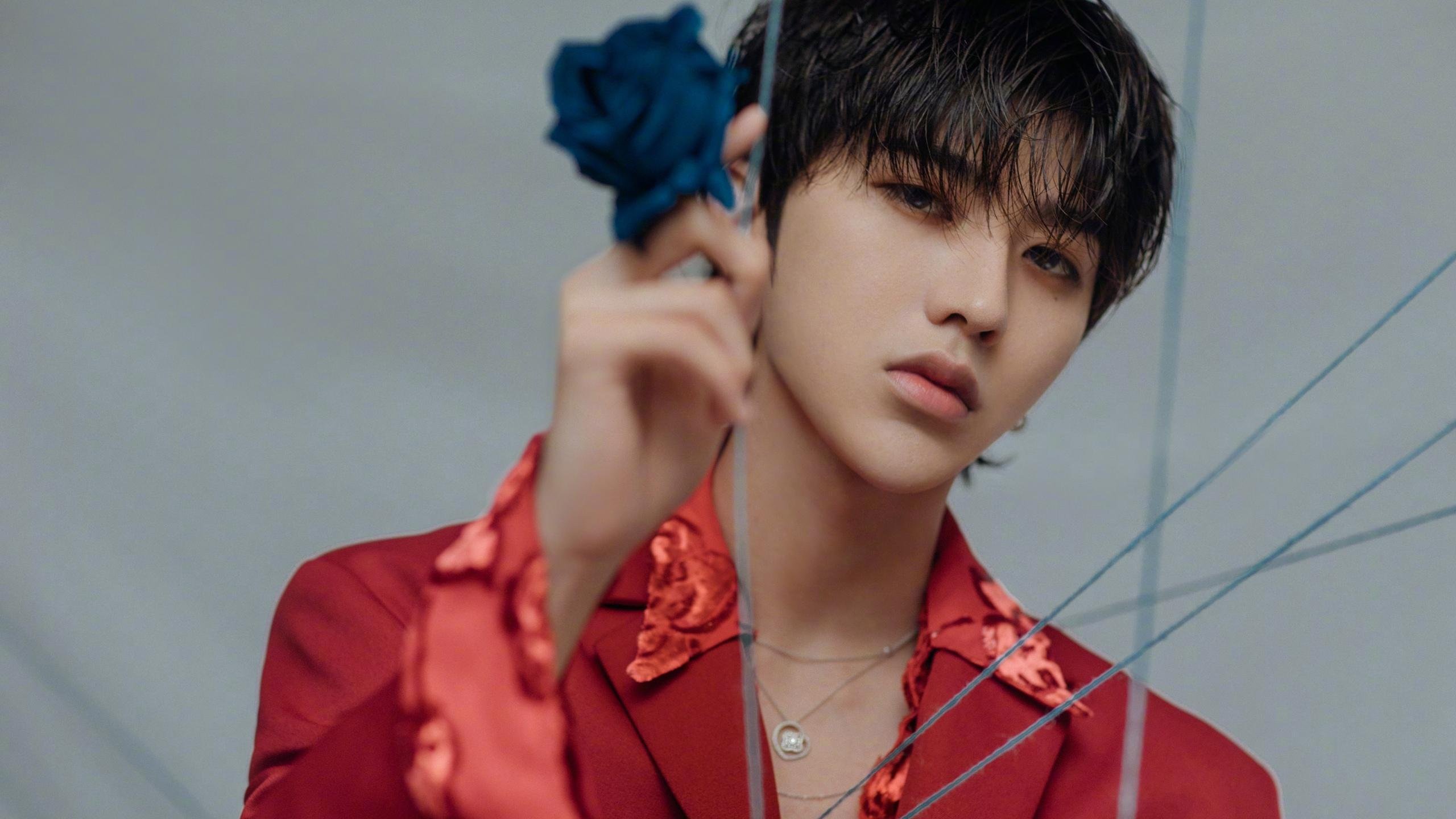 7个人的墙，澳大利亚如何用集体智慧将迪亚斯困在迷宫