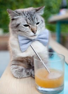 刹车比扣篮更锋利,当恩比德的指尖遇见F1弯道的心跳