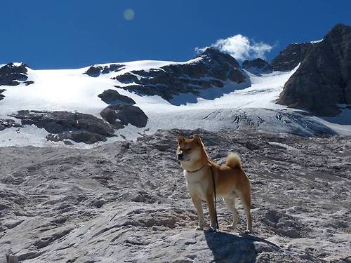 罗讷河德比重塑法国足球版图,里昂打穿马赛引爆世界排名争夺战