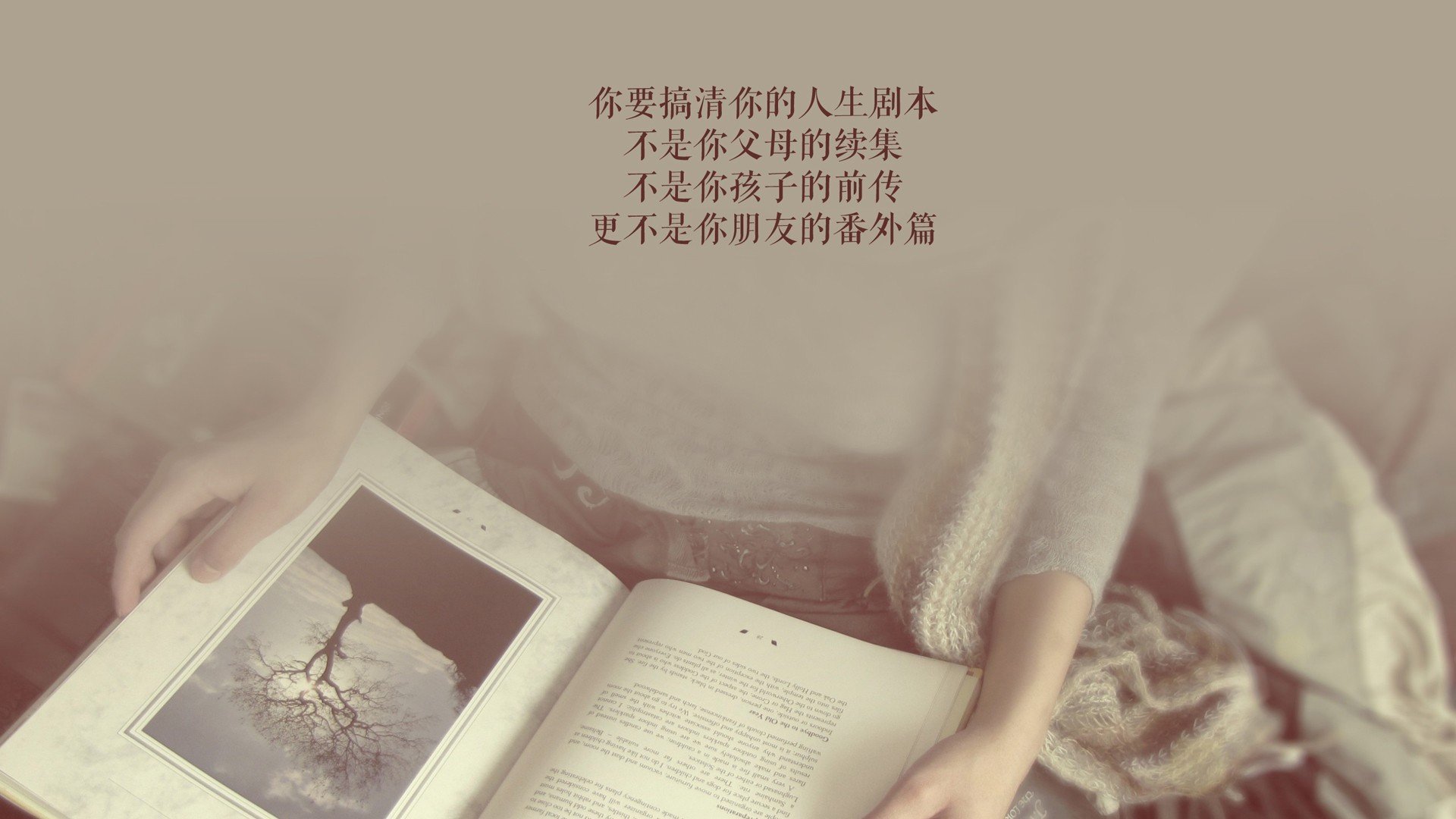 赛道与球场，极速时刻，掌控力的跨越性共鸣
