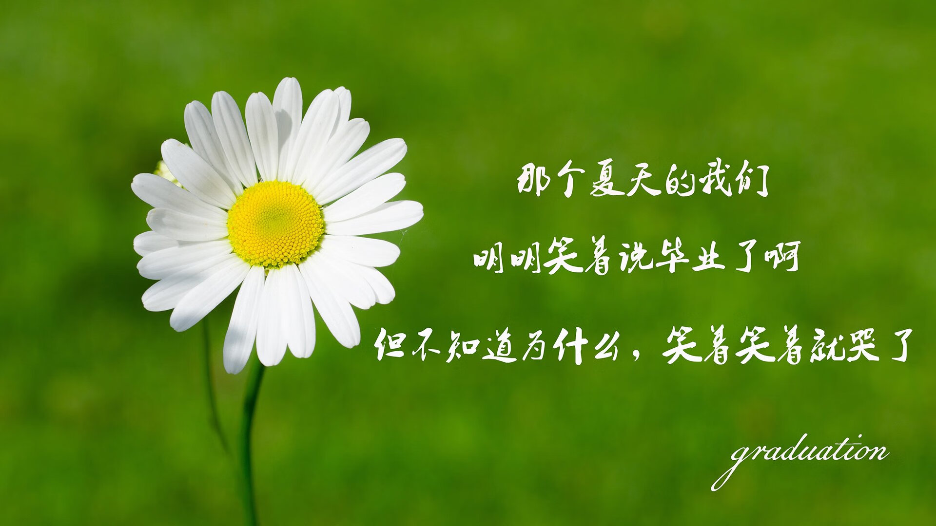 2026，当北极光吞没沙漠风暴，丹麦的救赎，和姆巴佩的唯一破晓