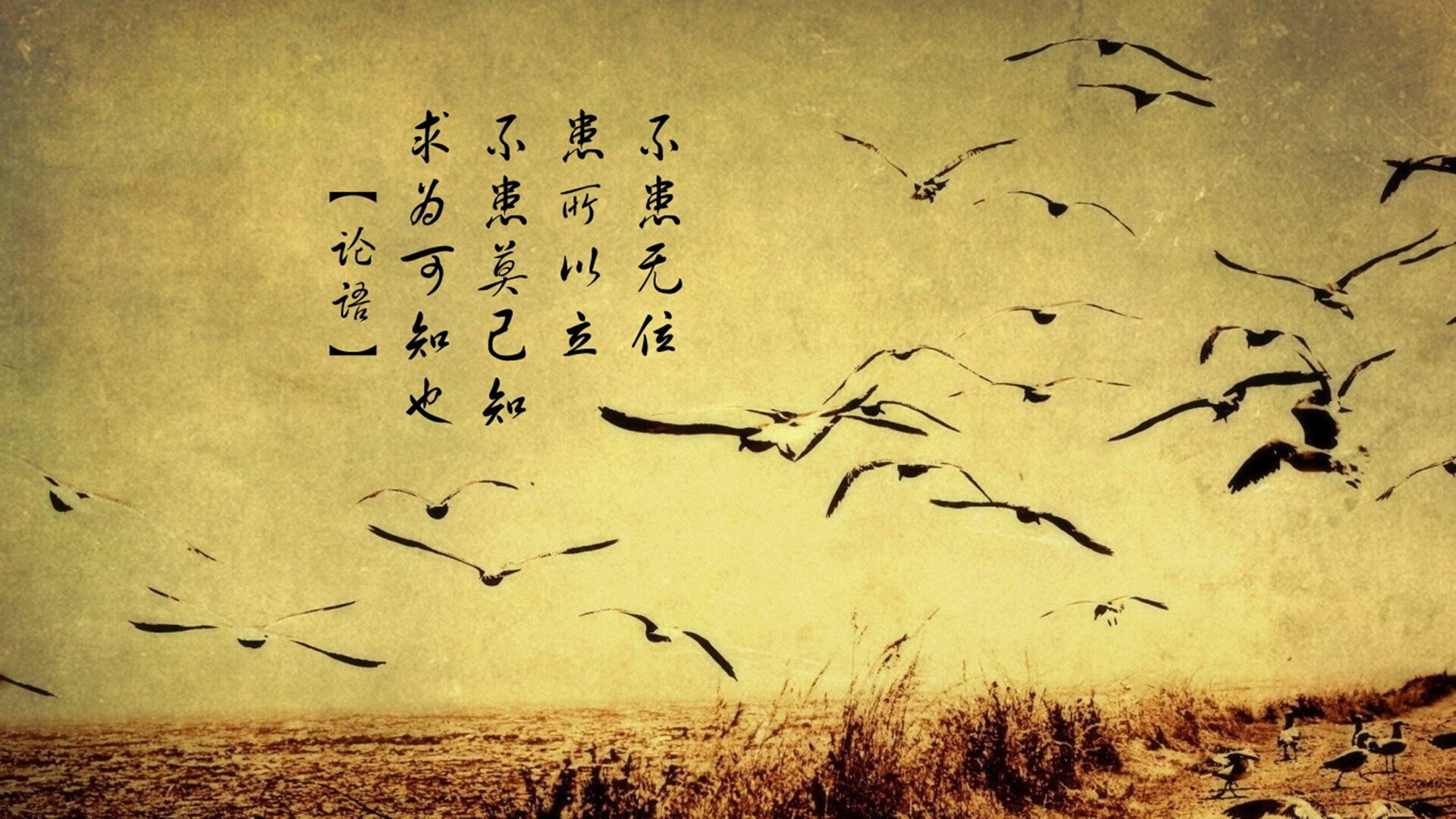 红魔觉醒，格列兹曼化身战术灵魂，韩国4-0碾压澳大利亚—2026世界杯D组最锋利的反击风暴