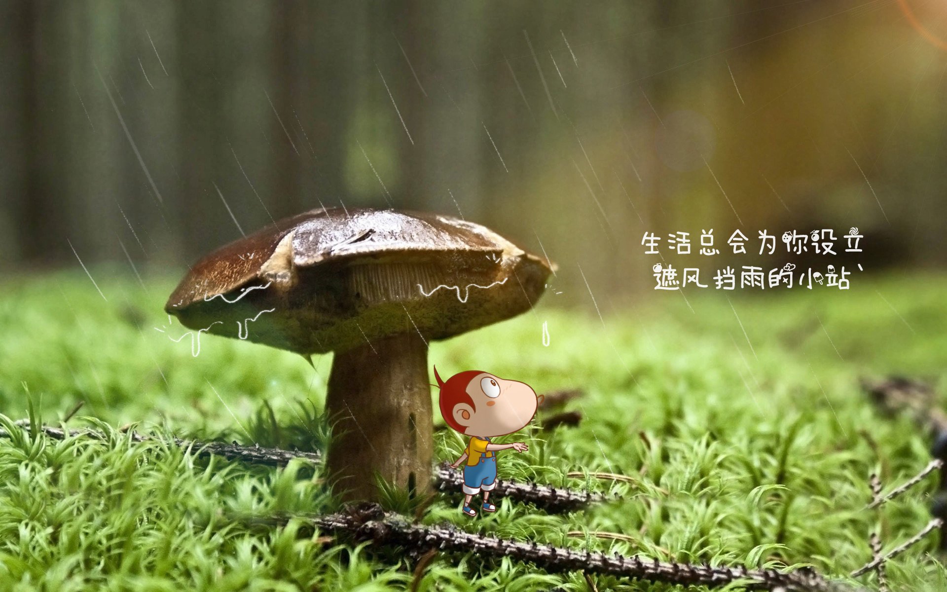 针对这个关键词组合，我为你设计了两个不同风格的标题，以及一篇完整的文章