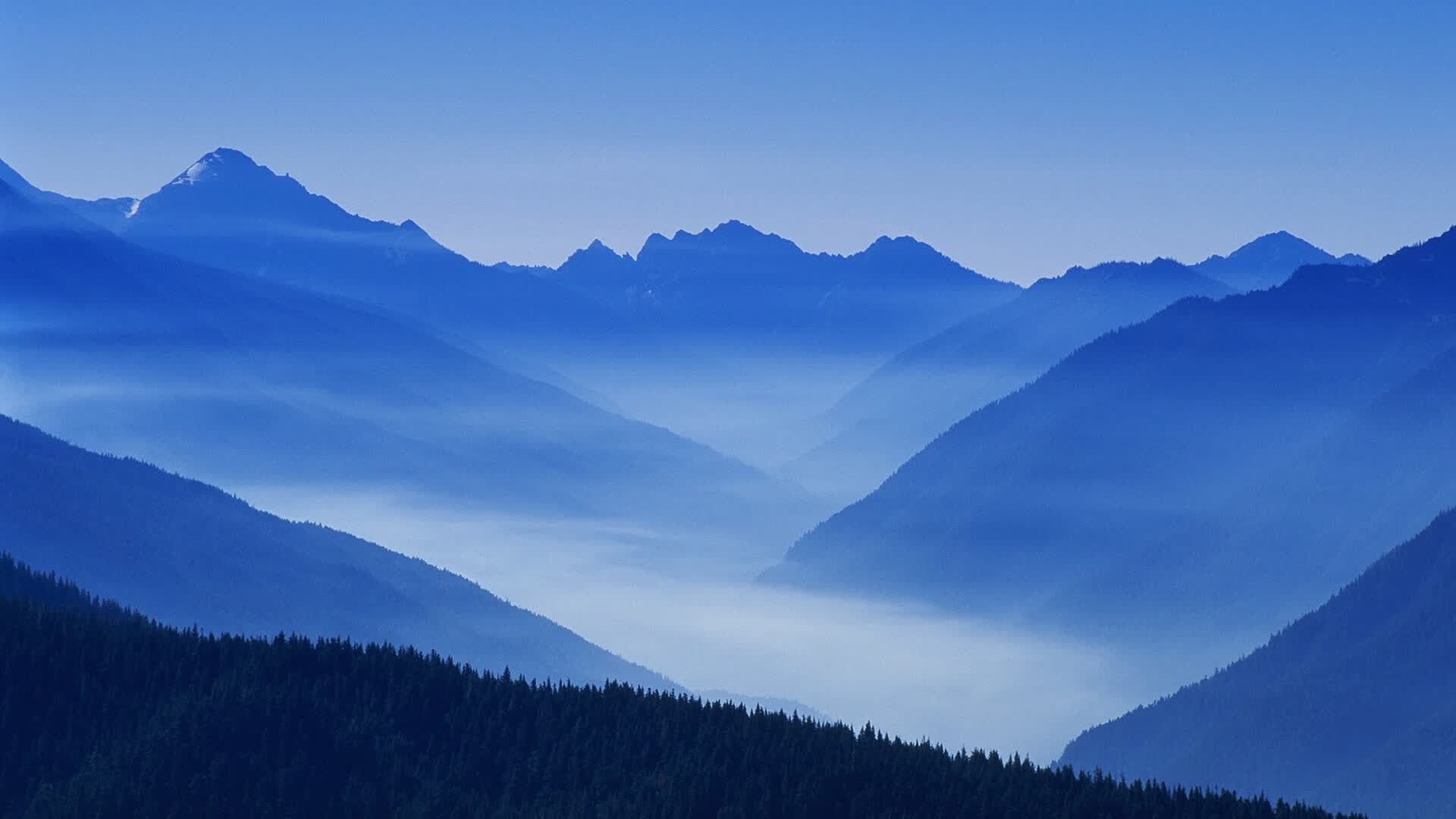 暗夜中的烈焰,当加勒比海盗的韧性击穿波斯铁骑,佩德里用足球智慧写就左路圣经