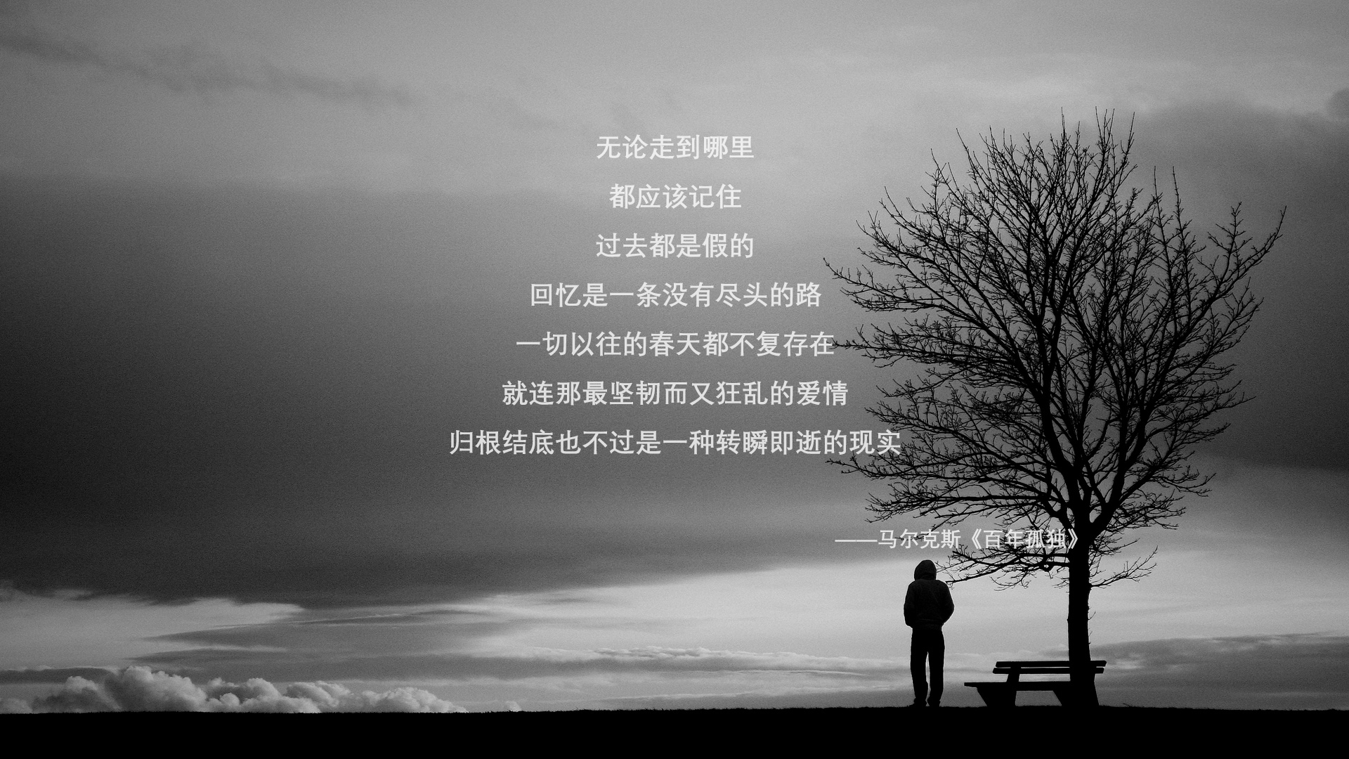 当袋鼠军团折翼，卢卡库的新衣与铁血澳洲的不死鸟之歌—记2026世界杯C组最离奇的逆转
