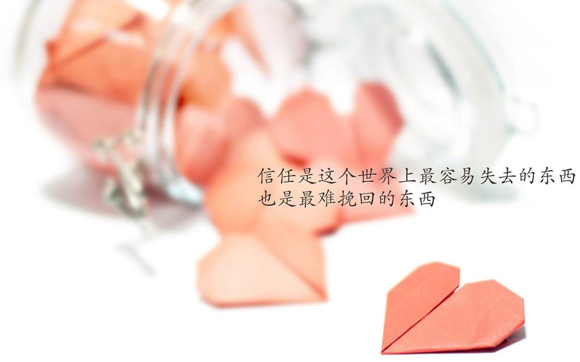 沙漠中的绿洲奇迹，越南铁桶困住西亚狼，萨内化身魔术师导演F组冷门